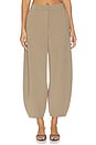 view 1 of 6 Carlien Trouser in Fosil