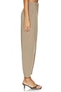 view 4 of 6 Carlien Trouser in Fosil
