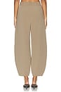 view 5 of 6 Carlien Trouser in Fosil