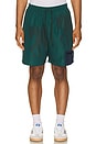 view 5 of 5 Short Horse Shorts in Pine Green