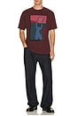 view 3 of 4 Protect The Sun T-Shirt in Dark Burgundy