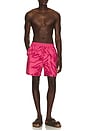 view 3 of 5 Birds Fly Free Swim Shorts in Purple Pink