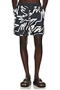 view 1 of 5 Birds Fly Free Swim Shorts in Black