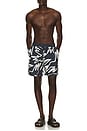 view 3 of 5 Birds Fly Free Swim Shorts in Black