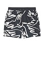 view 4 of 5 Birds Fly Free Swim Shorts in Black