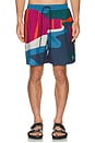 view 5 of 6 The Festival Fence Swim Shorts in Blue