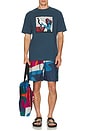 view 6 of 6 The Festival Fence Swim Shorts in Blue