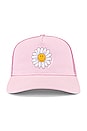 view 3 of 3 Positive State Trucker Hat in Baby Pink