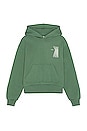 view 1 of 4 The Breaking Point Hoodie in Vico Green