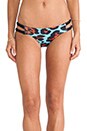 view 1 of 4 Bottom in Blue Leopard