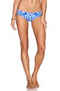 view 1 of 3 Bikini Bottom in Blue & White