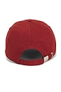view 2 of 2 GORRA in Fired Brick