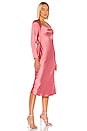 view 3 of 3 Time Flew Dress in Hibiscus