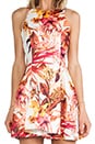 view 5 of 6 Stepping Stones Dress in Tropic Print