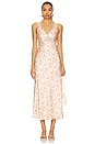 view 1 of 4 Rika Dress in Dutch Fields