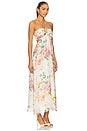 view 2 of 3 Calliope Chiffon Maxi Dress in Summer Solstice