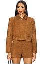 view 1 of 5 Sullivan Suede Jacket in Cognac