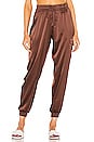view 1 of 4 Elsie Jogger in Chocolate