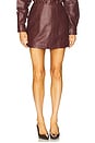 view 1 of 6 Cillian Genuine Leather Mini Skirt in Syrah