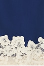 view 5 of 5 Maiya Chiffon Camisole in Sailor