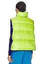 view 5 of 7 Atwood Vest in Neon Green