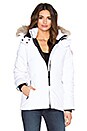 view 1 of 5 Chelsea Coyote Fur Parka in White