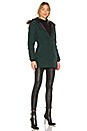 view 3 of 5 Victoria Parka in Algonquin Green