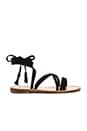 view 1 of 5 Pompeii Sandal in Black