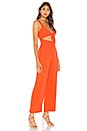 view 2 of 3 Ariane Jumpsuit in Poppy