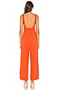 view 3 of 3 Ariane Jumpsuit in Poppy