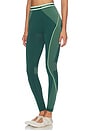 view 4 of 6 Seamless Leggings in Green