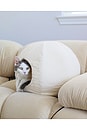 view 2 of 4 Moon Pet Cave in White