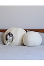 view 3 of 4 Moon Pet Cave in White