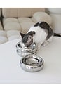 view 4 of 4 Elevated Halo Pet Bowl in Chrome