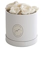 view 1 of 5 Flora Eterna Pet Toy Box in White