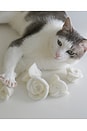 view 3 of 5 Flora Eterna Pet Toy Box in White