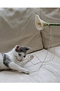 view 2 of 5 Flora Cat Wand Toy in Green & White