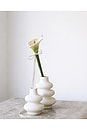 view 4 of 5 Flora Cat Wand Toy in Green & White