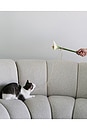 view 5 of 5 Flora Cat Wand Toy in Green & White