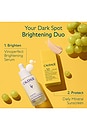 view 3 of 4 Vinoperfect Dark Spot Brightening Serum & Sunscreen SPF 50 Set in 