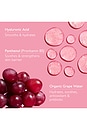view 5 of 7 VinoHydra Moisturizing Cleansing Gel in 