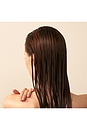 view 4 of 6 Delicate Volume Conditioner With Rose Extracts in 
