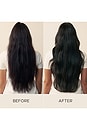 view 4 of 6 SHAMPOO REGENERATIVO COM ÓLEO DE PERA-ESPINHOSA REGENERATING SHAMPOO WITH PRICKLY PEAR OIL in 