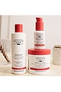 view 5 of 6 SHAMPOO REGENERATIVO COM ÓLEO DE PERA-ESPINHOSA REGENERATING SHAMPOO WITH PRICKLY PEAR OIL in 
