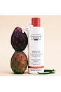 view 6 of 6 SHAMPOO REGENERATIVO COM ÓLEO DE PERA-ESPINHOSA REGENERATING SHAMPOO WITH PRICKLY PEAR OIL in 