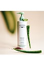 view 7 of 7 SHAMPOO HIDRATANTE COM ALOE VERA HYDRATING SHAMPOO WITH ALOE VERA in 