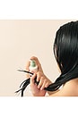 view 4 of 8 BRUMA HIDRATANTE SEM ENXÁGUE COM ALOE VERA HYDRATING LEAVE-IN MIST WITH ALOE VERA in 