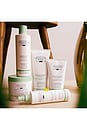 view 7 of 8 BRUMA HIDRATANTE SEM ENXÁGUE COM ALOE VERA HYDRATING LEAVE-IN MIST WITH ALOE VERA in 