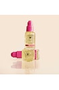 view 4 of 11 Finishing Perfecting Radiance Oil With Amala Oil in 