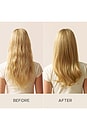 view 9 of 11 Finishing Perfecting Radiance Oil With Amala Oil in 